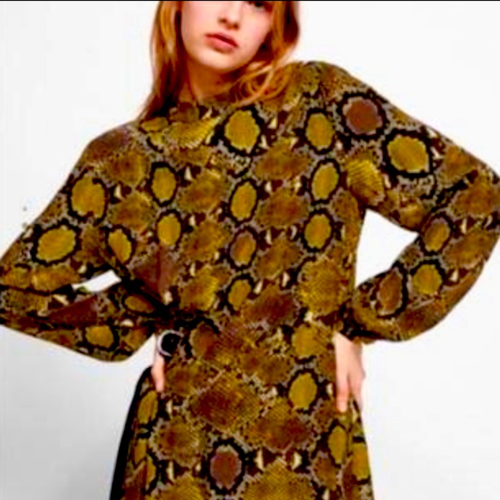 Zara Long Sleeve Black and Gold Snake Print Dress